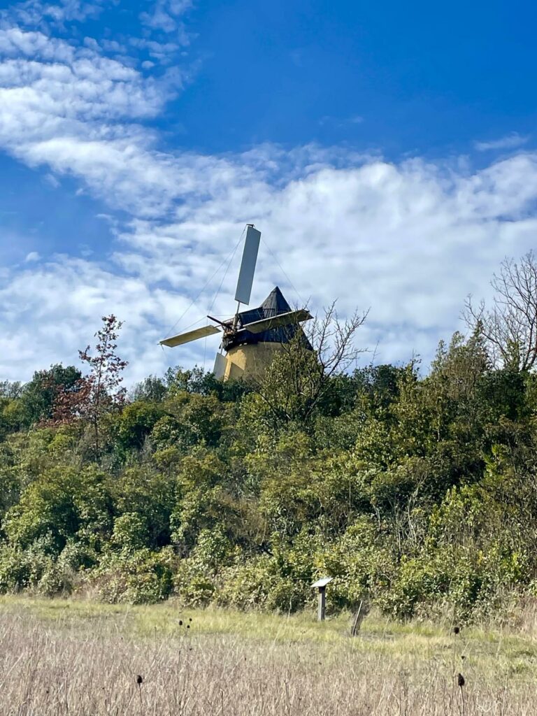 PHOTO-2026-02-18-13-03-58