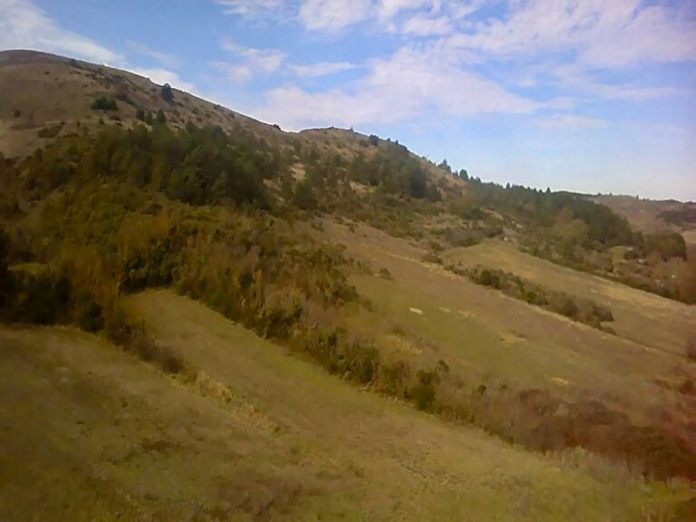 WhatsApp Image 2026-02-18 at 13.03.53