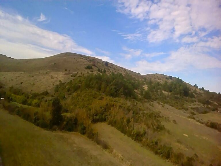 WhatsApp Image 2026-02-18 at 13.03.54