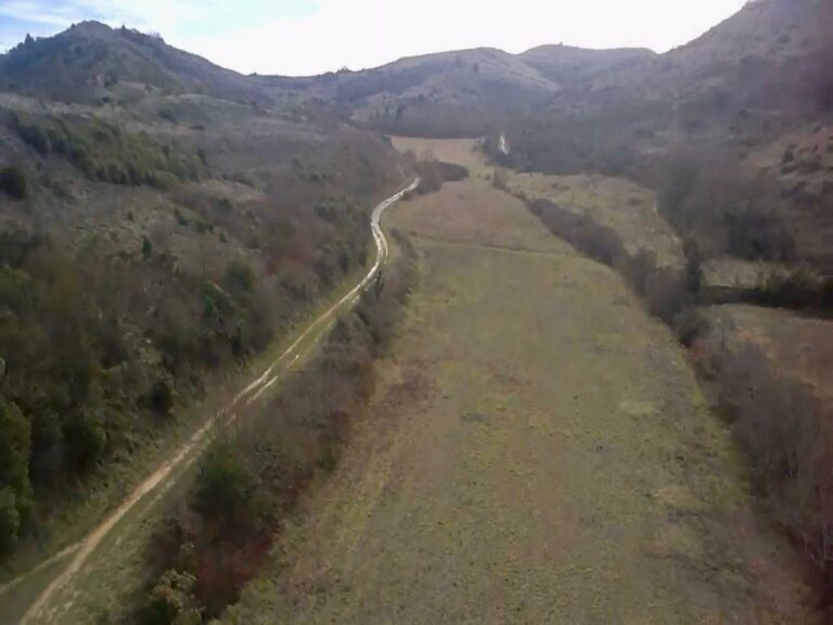 WhatsApp Image 2026-02-18 at 13.03.55 (1)