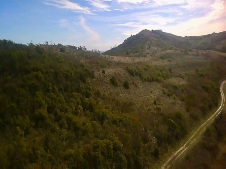 WhatsApp Image 2026-02-18 at 13.03.55 (3)