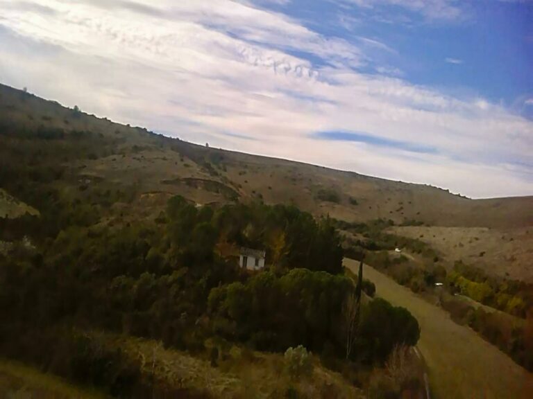 WhatsApp Image 2026-02-18 at 13.03.55