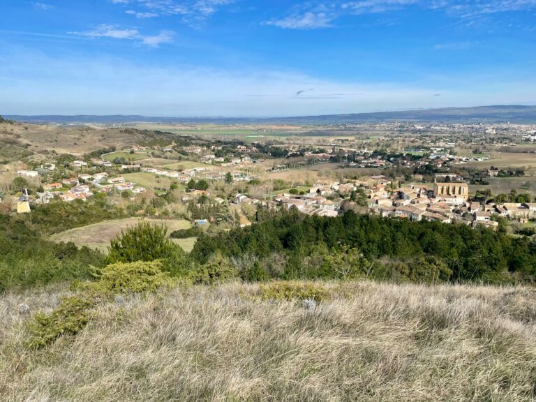 WhatsApp Image 2026-02-18 at 13.03.56 (1)