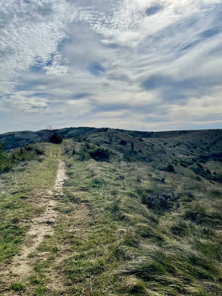 WhatsApp Image 2026-02-18 at 13.03.56 (2)