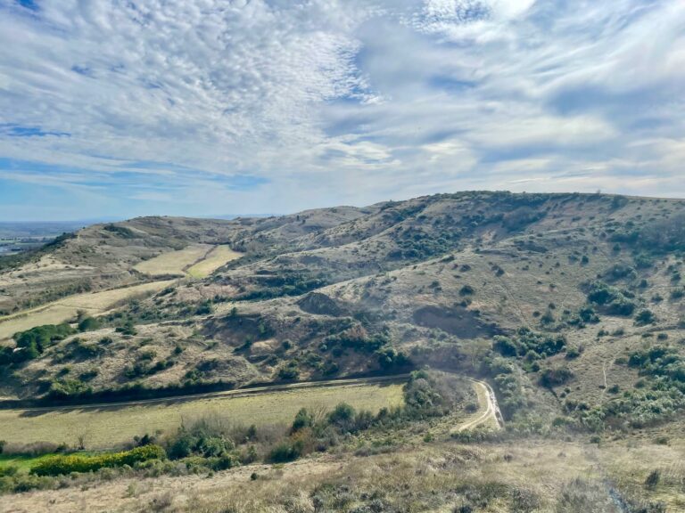 WhatsApp Image 2026-02-18 at 13.03.56 (3)