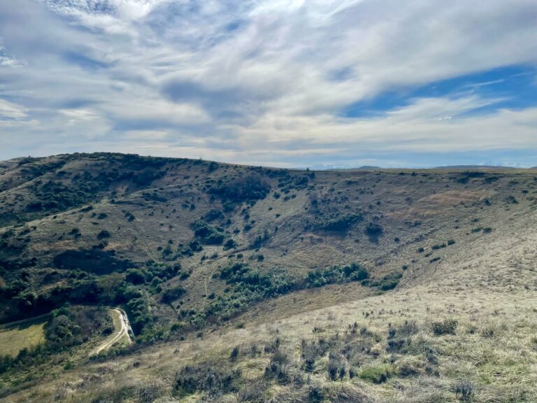 WhatsApp Image 2026-02-18 at 13.03.56 (4)