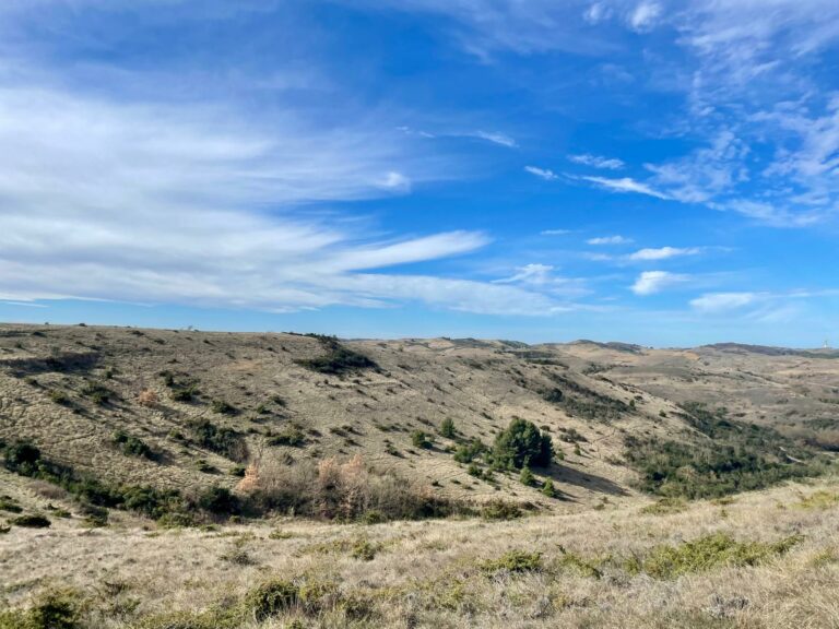 WhatsApp Image 2026-02-18 at 13.03.56 (5)