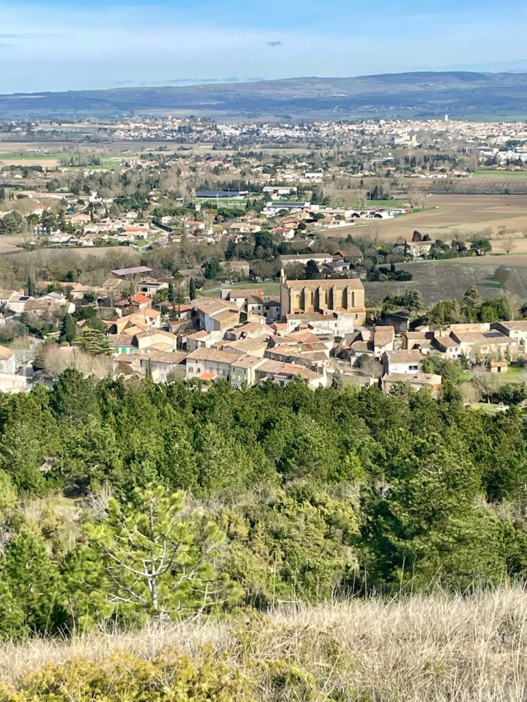 WhatsApp Image 2026-02-18 at 13.03.56