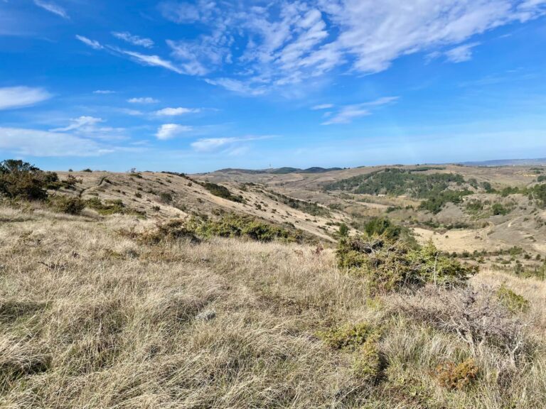 WhatsApp Image 2026-02-18 at 13.03.57 (1)