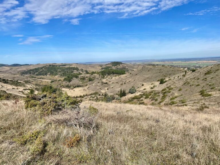 WhatsApp Image 2026-02-18 at 13.03.57 (2)