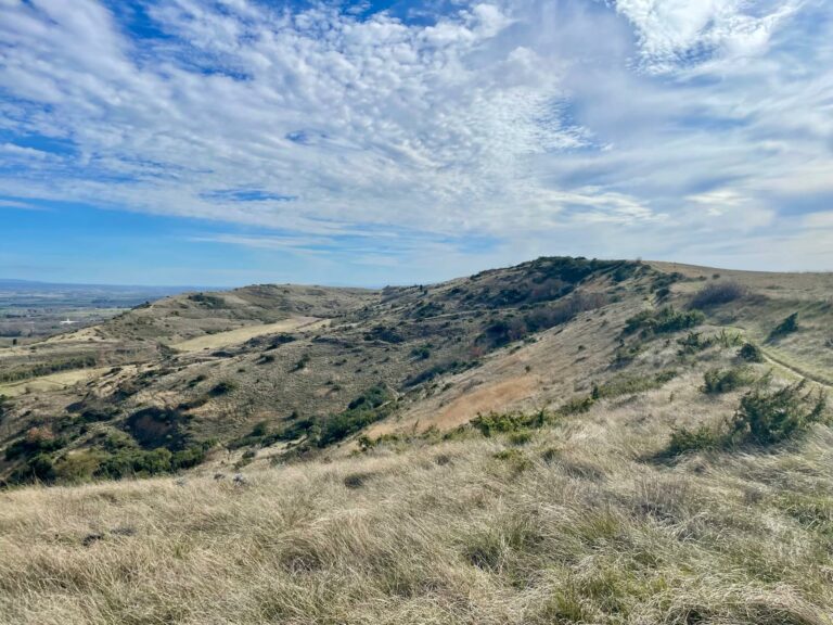 WhatsApp Image 2026-02-18 at 13.03.57 (3)