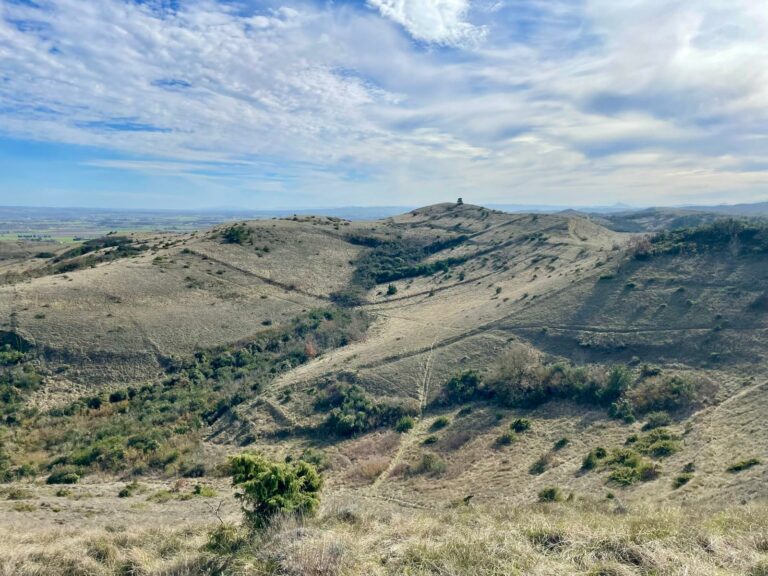 WhatsApp Image 2026-02-18 at 13.03.57 (4)