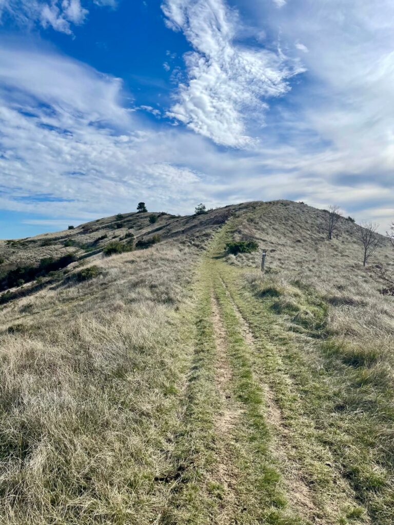 WhatsApp Image 2026-02-18 at 13.03.57 (5)