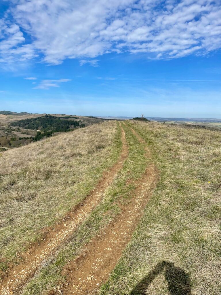 WhatsApp Image 2026-02-18 at 13.03.57