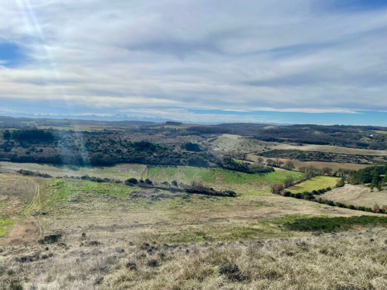 WhatsApp Image 2026-02-18 at 13.03.58 (1)