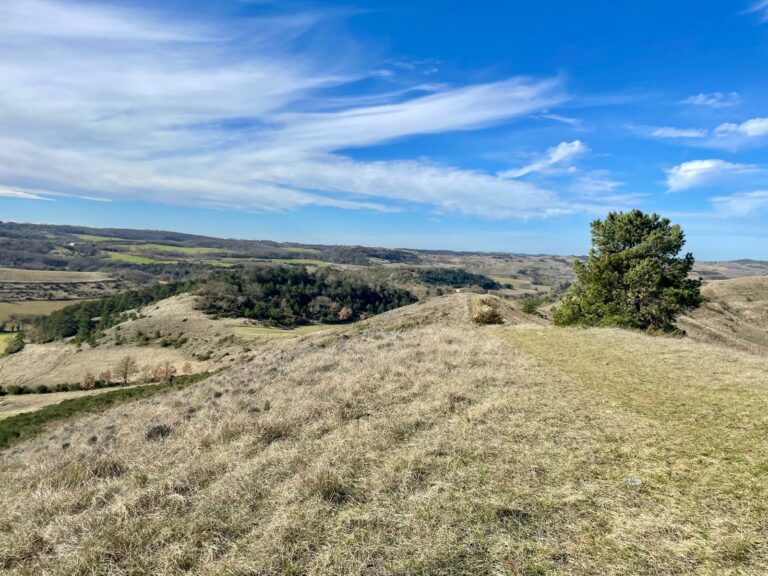 WhatsApp Image 2026-02-18 at 13.03.58